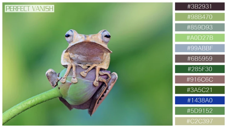 カエルの無料配色パターン 12 フリー borneo eared frog