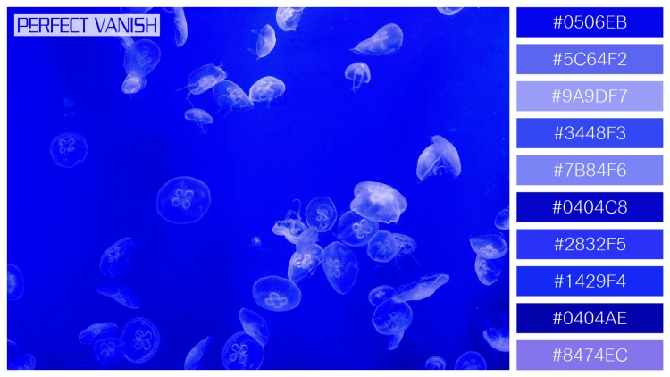 透明感漂うクラゲの無料配色パターン 10色 フリー jellyfish water tank