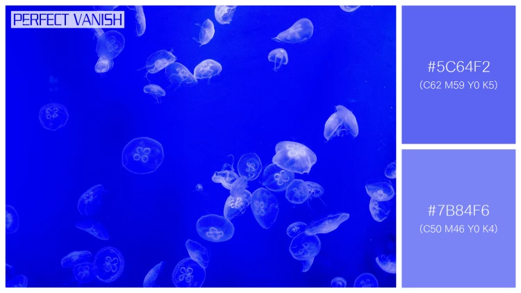 透明感漂うクラゲの無料配色パターン 2色 フリー jellyfish water tank