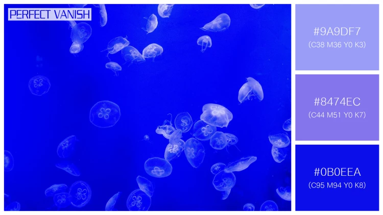 透明感漂うクラゲの無料配色パターン 3色 フリー jellyfish water tank