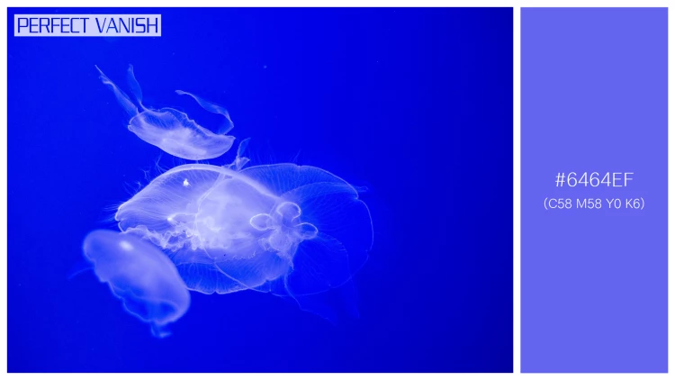 透明感漂うクラゲの無料配色パターン 1色 フリー jellyfish water tank