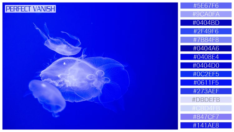透明感漂うクラゲの無料配色パターン 15色 フリー jellyfish water tank