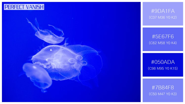 透明感漂うクラゲの無料配色パターン 4色 フリー jellyfish water tank
