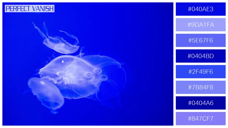 透明感漂うクラゲの無料配色パターン 8色 フリー jellyfish water tank