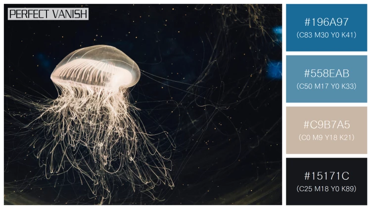 透明感漂うクラゲの無料配色パターン 4色 フリー jellyfish water tank