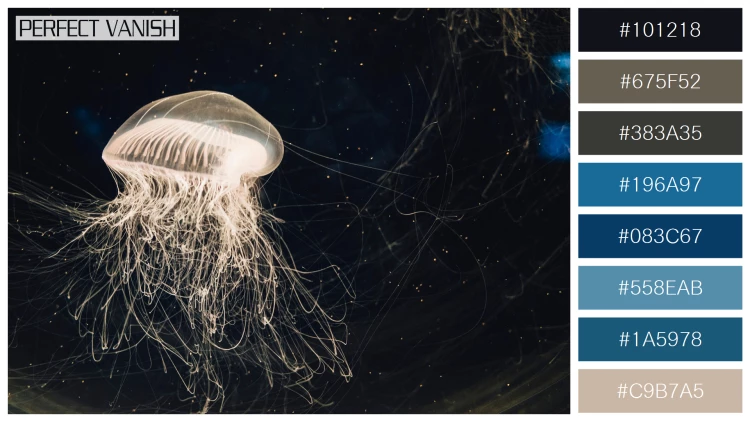 透明感漂うクラゲの無料配色パターン 8色 フリー jellyfish water tank