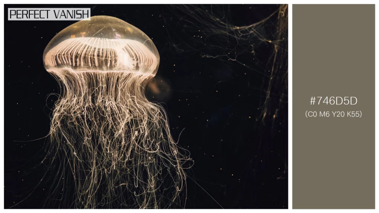 透明感漂うクラゲの無料配色パターン 1色 フリー jellyfish water tank