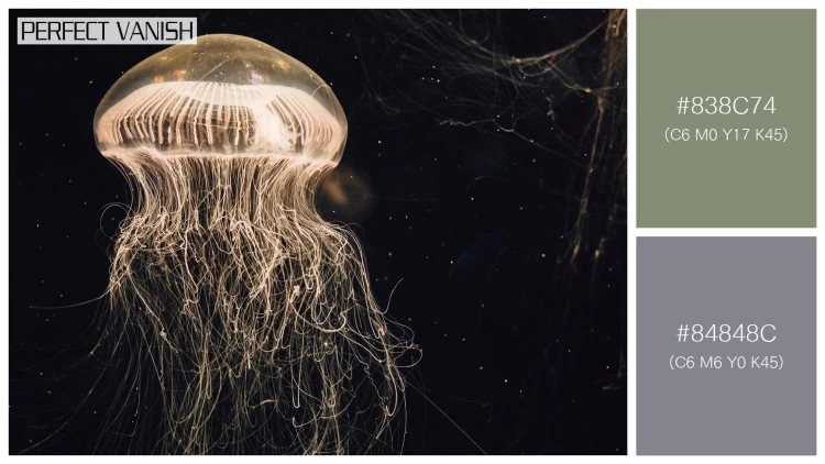 透明感漂うクラゲの無料配色パターン 2色 フリー jellyfish water tank