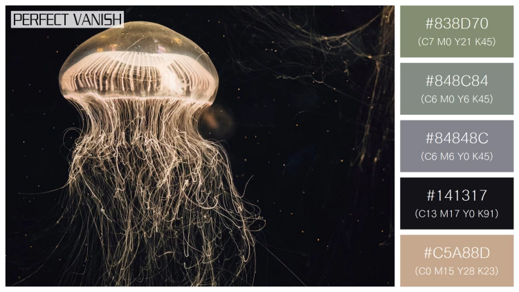 透明感漂うクラゲの無料配色パターン 5色 フリー jellyfish water tank