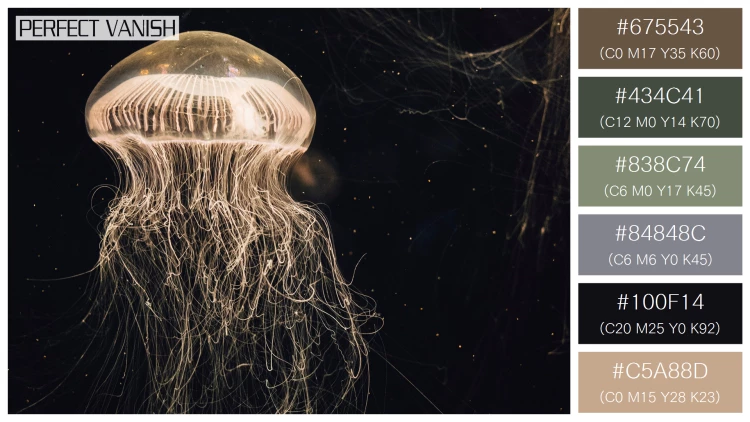 透明感漂うクラゲの無料配色パターン 6色 フリー jellyfish water tank