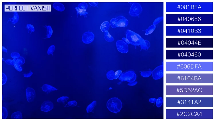 透明感漂うクラゲの無料配色パターン 10色 フリー jellyfish tank