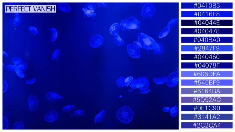 透明感漂うクラゲの無料配色パターン 15色 フリー jellyfish tank
