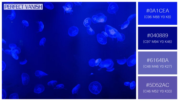 透明感漂うクラゲの無料配色パターン 4色 フリー jellyfish tank