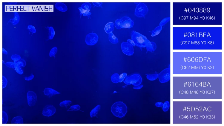 透明感漂うクラゲの無料配色パターン 5色 フリー jellyfish tank