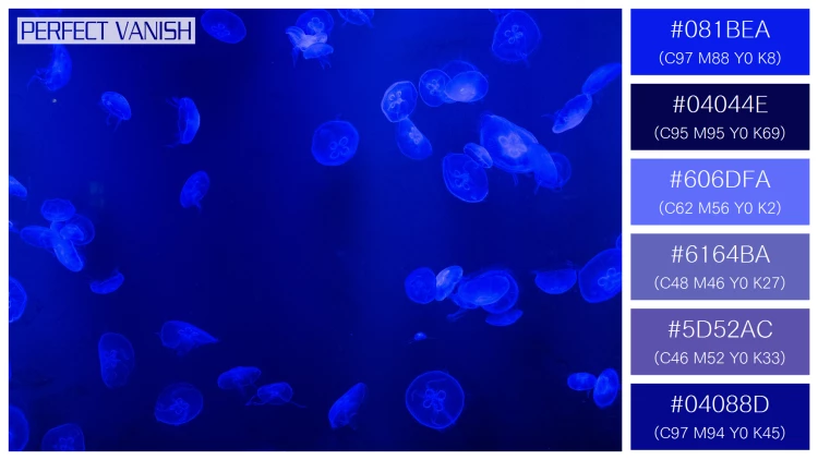 透明感漂うクラゲの無料配色パターン 6色 フリー jellyfish tank