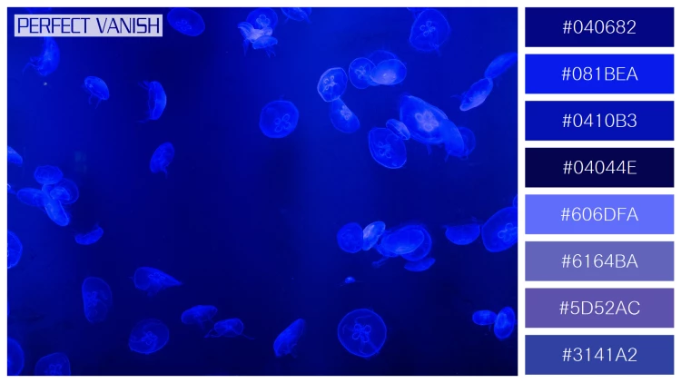 透明感漂うクラゲの無料配色パターン 8色 フリー jellyfish tank