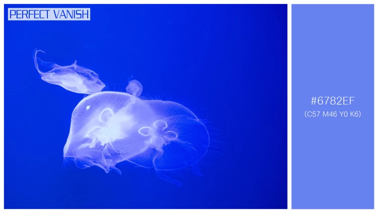 透明感漂うクラゲの無料配色パターン 1色 フリー jellyfish tank