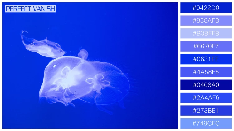 透明感漂うクラゲの無料配色パターン 10色 フリー jellyfish tank