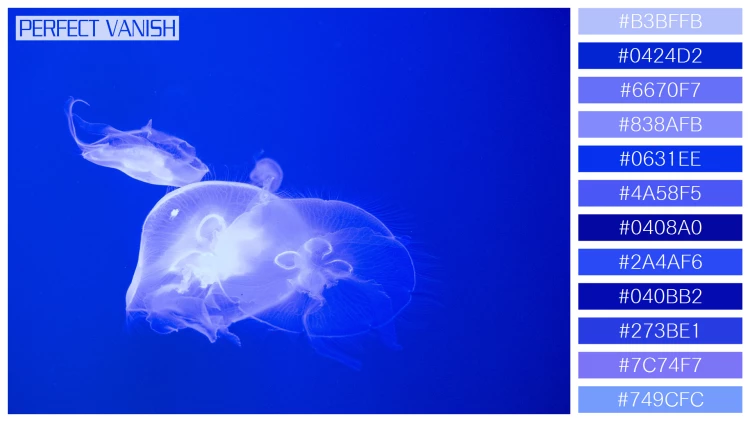 透明感漂うクラゲの無料配色パターン 12色 フリー jellyfish tank