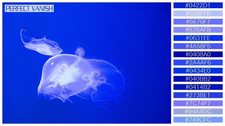 透明感漂うクラゲの無料配色パターン 15色 フリー jellyfish tank
