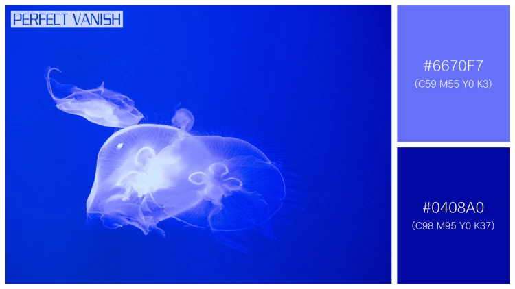 透明感漂うクラゲの無料配色パターン 2色 フリー jellyfish tank