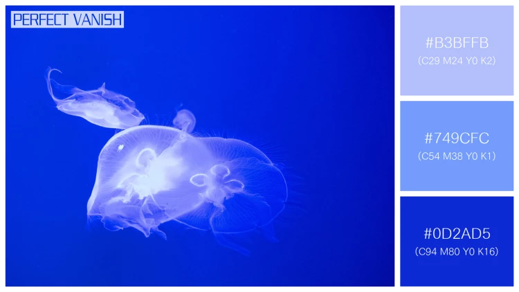 透明感漂うクラゲの無料配色パターン 3色 フリー jellyfish tank