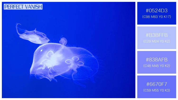 透明感漂うクラゲの無料配色パターン 4色 フリー jellyfish tank