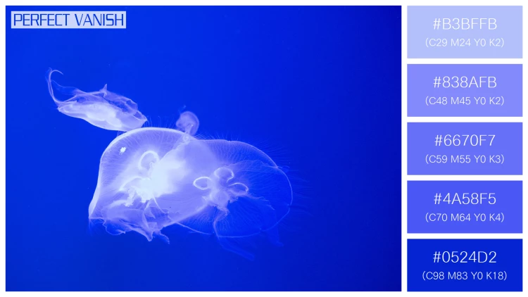 透明感漂うクラゲの無料配色パターン 5色 フリー jellyfish tank