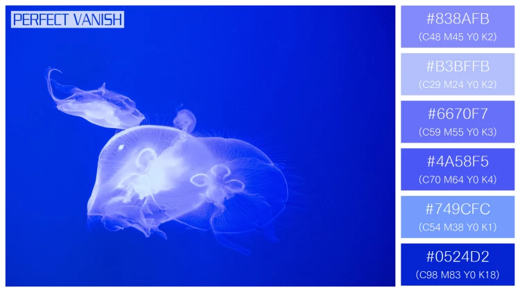 透明感漂うクラゲの無料配色パターン 6色 フリー jellyfish tank