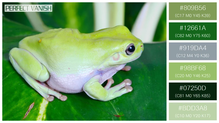 カエルの無料配色パターン 6 フリー green frog