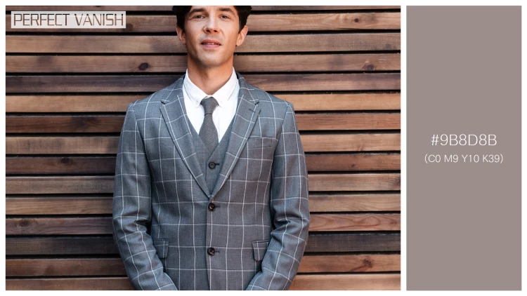 スタイリッシュな男性モデルの無料配色パターン 1色 フリー handsome businessman suit