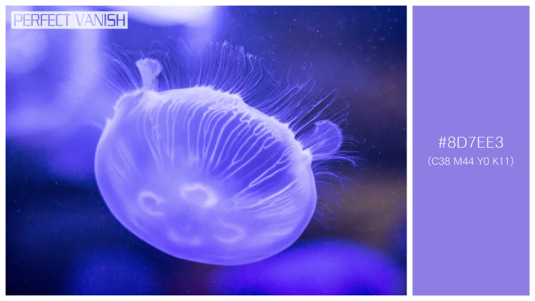 透明感漂うクラゲの無料配色パターン 1色 フリー purple jellyfish closeup