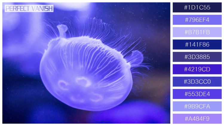 透明感漂うクラゲの無料配色パターン 10色 フリー purple jellyfish closeup