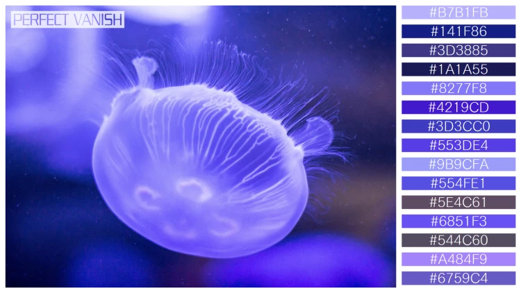 透明感漂うクラゲの無料配色パターン 15色 フリー purple jellyfish closeup