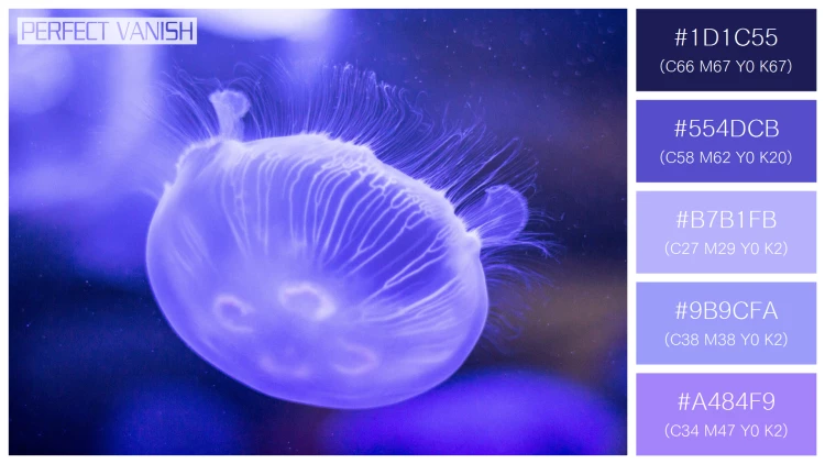 透明感漂うクラゲの無料配色パターン 5色 フリー purple jellyfish closeup