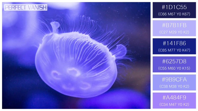 透明感漂うクラゲの無料配色パターン 6色 フリー purple jellyfish closeup