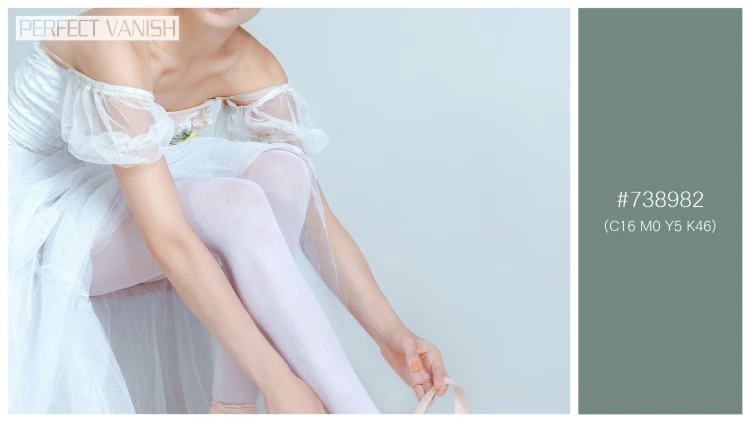 ファッショナブルな女性モデルの無料配色パターン 1色 フリー professional ballerina putting