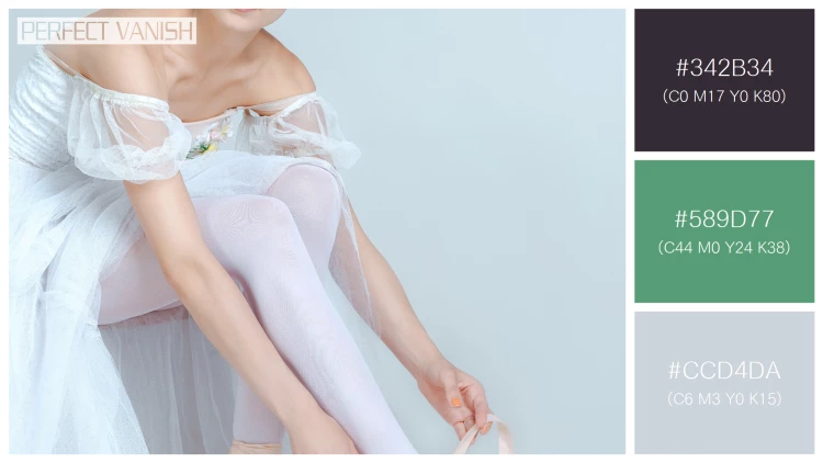 ファッショナブルな女性モデルの無料配色パターン 3色 フリー professional ballerina putting