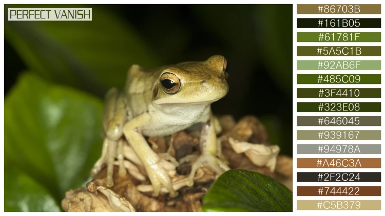 カエルの無料配色パターン 15 フリー cute frog sitting