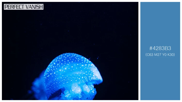 透明感漂うクラゲの無料配色パターン 1色 フリー vertical closeup shot