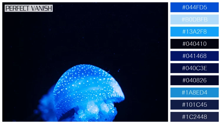透明感漂うクラゲの無料配色パターン 10色 フリー vertical closeup shot