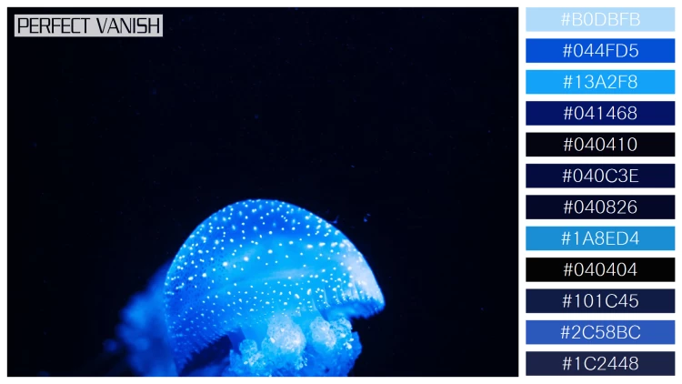 透明感漂うクラゲの無料配色パターン 12色 フリー vertical closeup shot