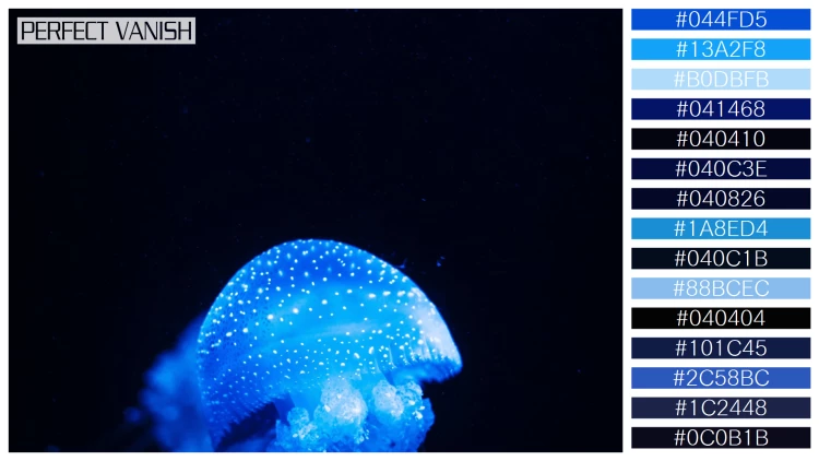 透明感漂うクラゲの無料配色パターン 15色 フリー vertical closeup shot