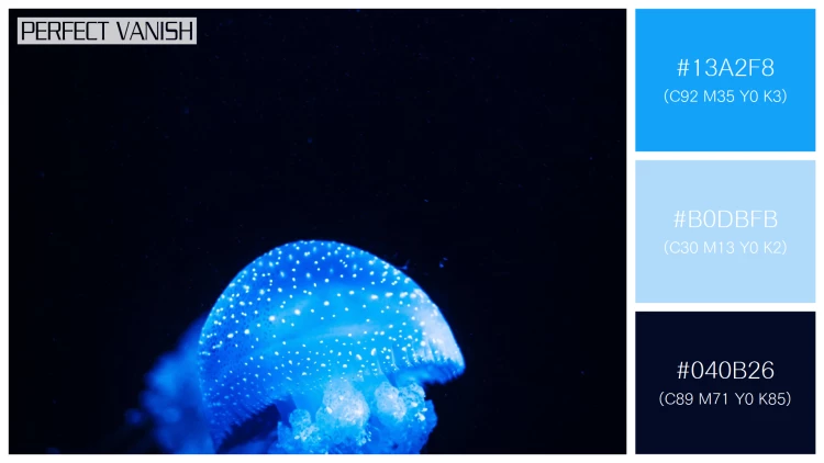 透明感漂うクラゲの無料配色パターン 3色 フリー vertical closeup shot