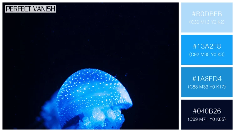 透明感漂うクラゲの無料配色パターン 4色 フリー vertical closeup shot