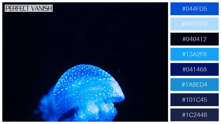 透明感漂うクラゲの無料配色パターン 8色 フリー vertical closeup shot