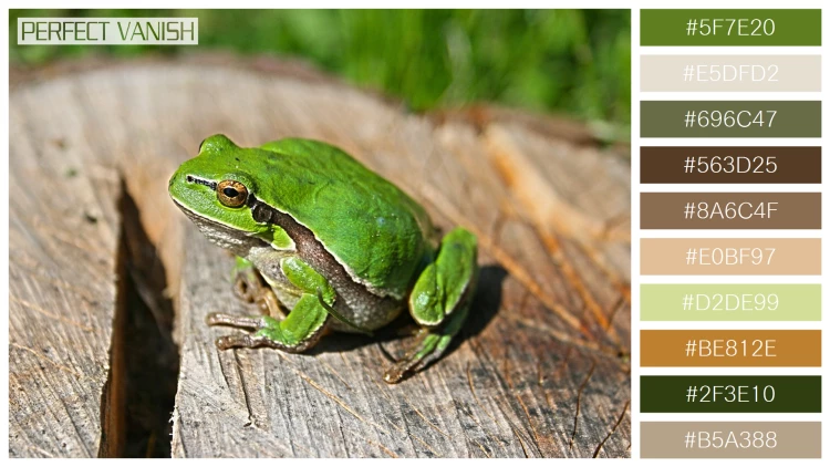 カエルの無料配色パターン 10 フリー green frog log