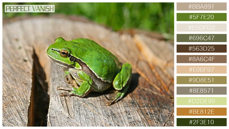 カエルの無料配色パターン 12 フリー green frog log