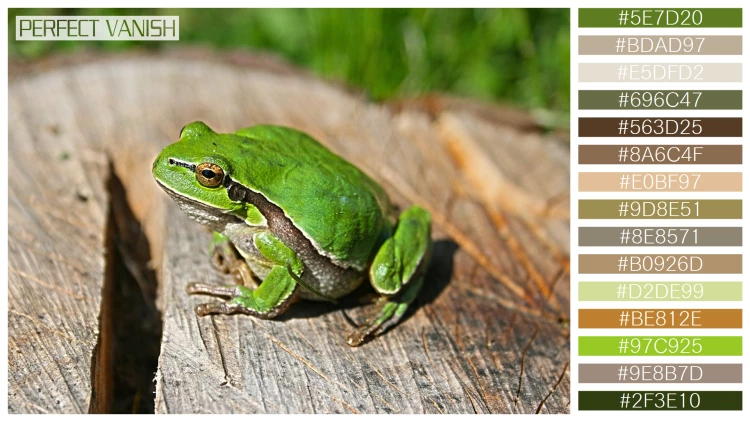 カエルの無料配色パターン 15 フリー green frog log