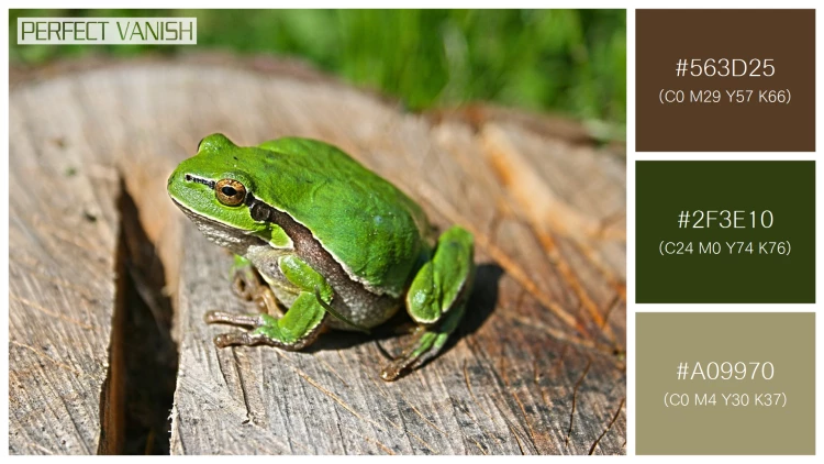 カエルの無料配色パターン 3 フリー green frog log